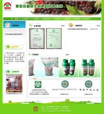 楊康生物攜手秦皇島市創(chuàng)想信息網(wǎng)絡 智能化生產(chǎn)制造與客戶展示新篇章