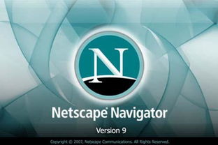 網景通信公司 互聯網信息服務領域的先驅