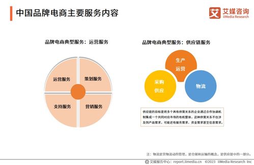 2023年中國品牌電商服務(wù)行業(yè)研究報告 信息咨詢服務(wù)解析