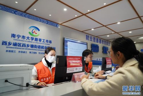 精準服務 多維賦能——西鄉塘區構建青年就業創業信息咨詢新生態